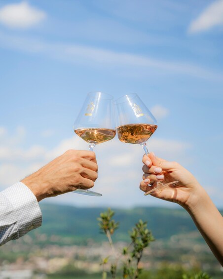 Dos personas brindando con copas de vino frente a un paisaje pintoresco. 5