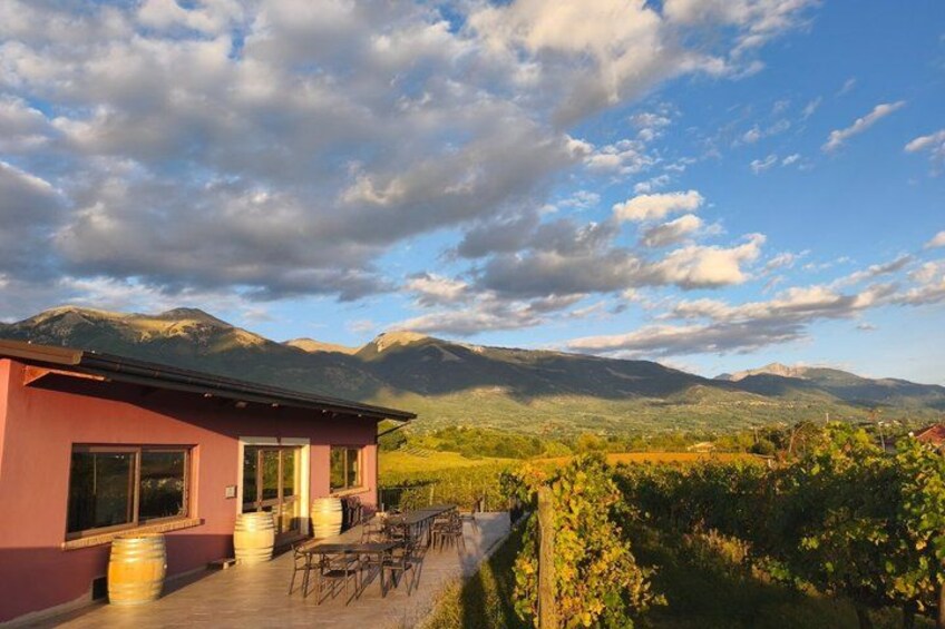 A red building with a patio, surrounded by vineyards and mountains. 1