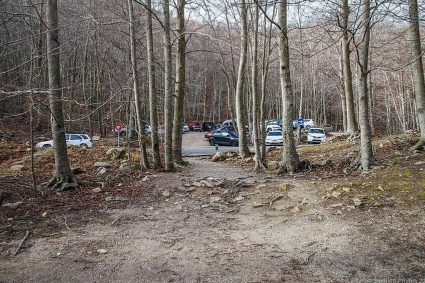 A forested area with a dirt path leading to a parking lot with cars. 4