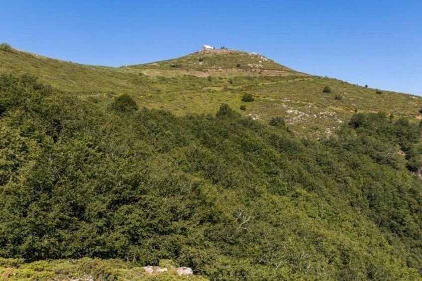 A hill with dense green vegetation and a small building at the top. 3
