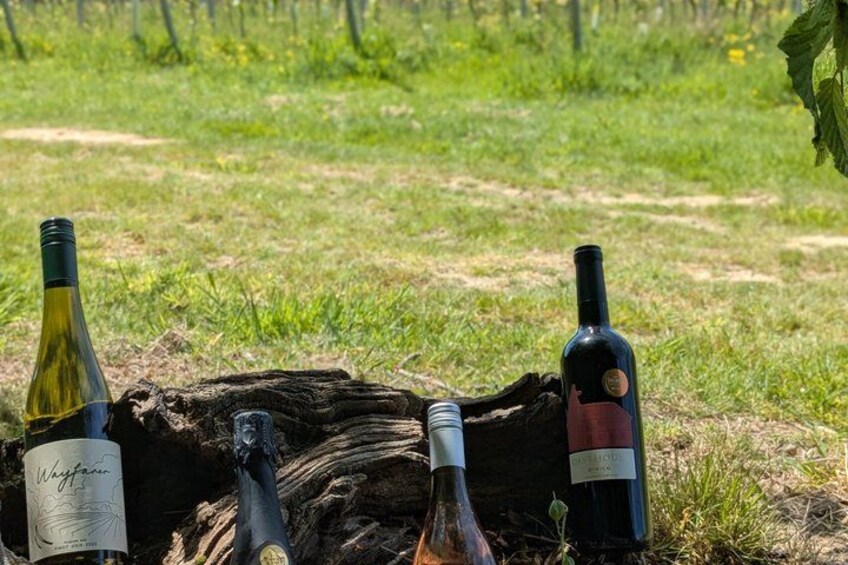 Three wine bottles on a log in a grassy field. 5