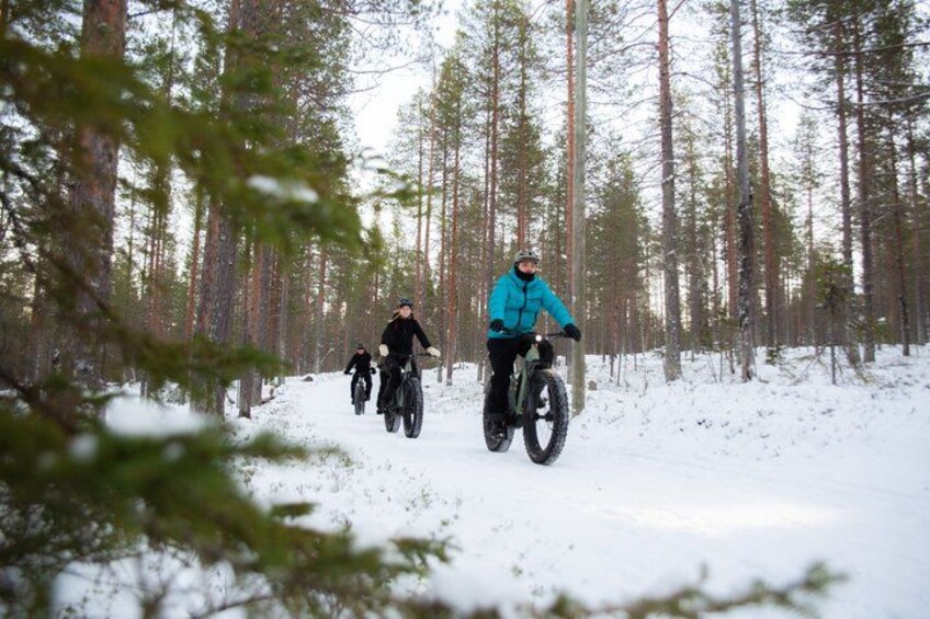 A person on a snowmobile in a forested area. 3