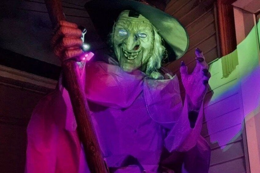 A person in a witch costume holding a broomstick. 3