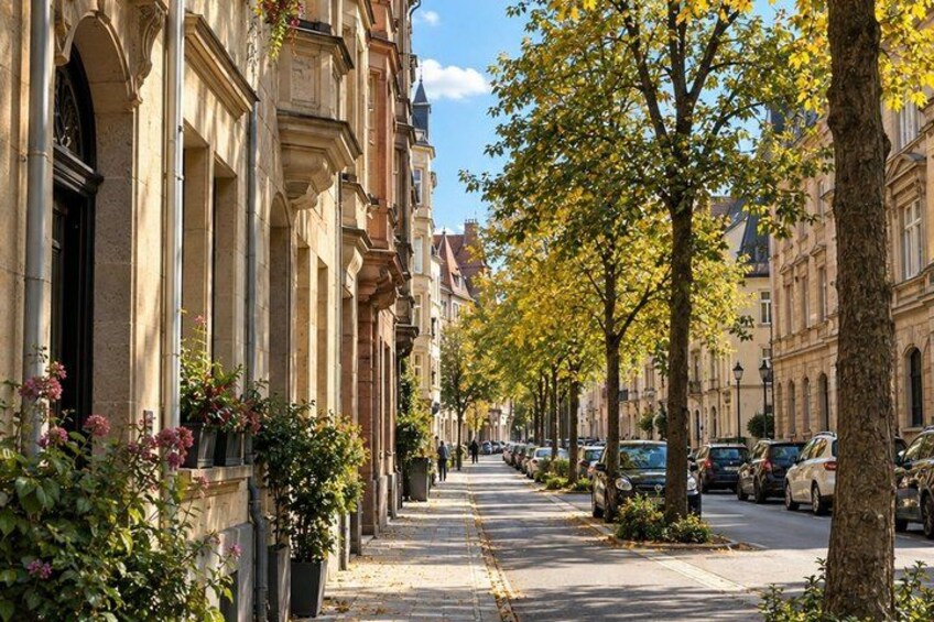 A tree-lined street with parked cars and historic buildings. 4