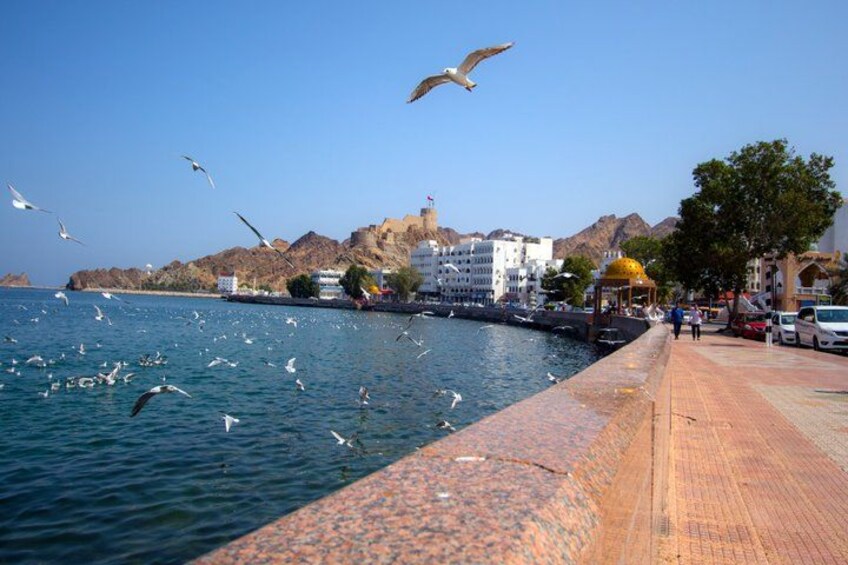 A waterfront with seagulls, a paved walkway, buildings, and a mountain in the background. 1