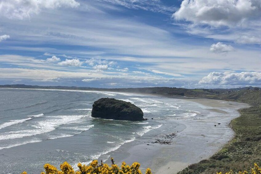 A coastal landscape with a large rock formation in the sea, sandy beach, and yellow flowers in the foreground. 4