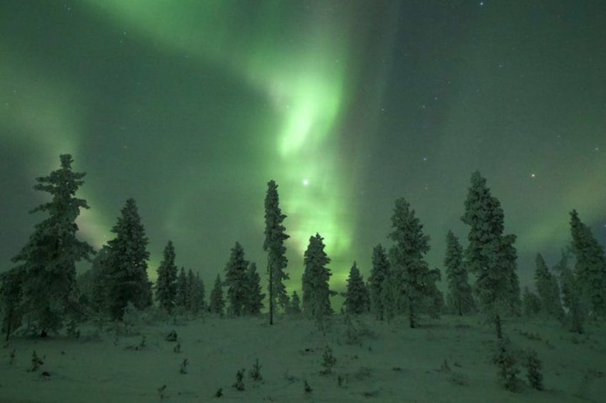 A snowy forest with green aurora borealis. 4