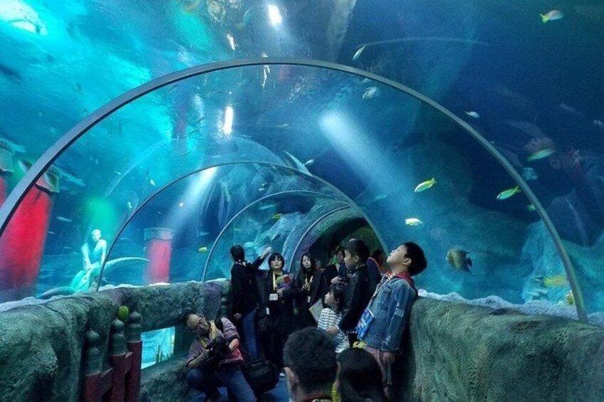 An underwater tunnel with people observing marine life. 3