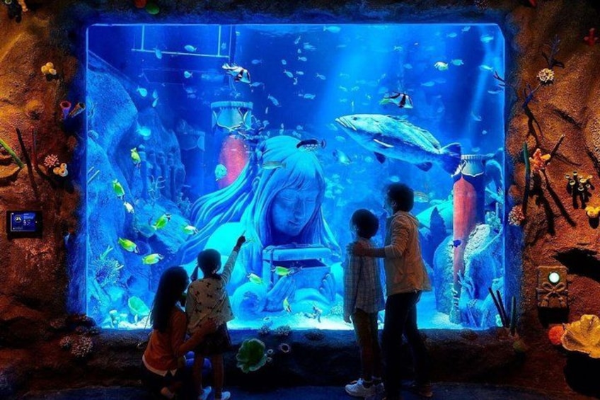 An aquarium with various fish species, a large fish tank, and decorative elements on the walls. 1