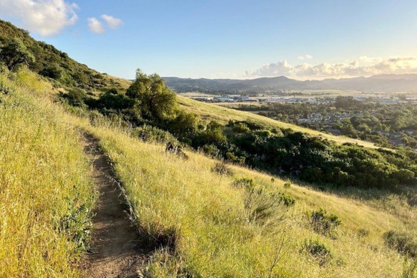 A dirt trail winding through a grassy hillside with a view of a distant town. 2