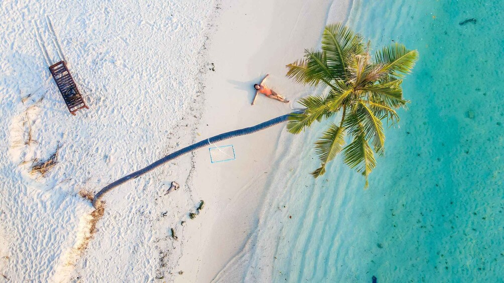 Une plage avec un palmier, un hamac et une personne allongée sur le sable. 3