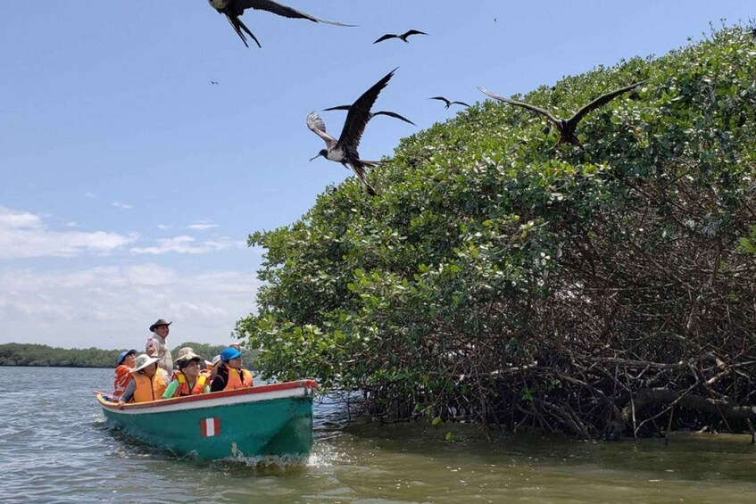 Un bateau transportant des personnes portant des gilets de sauvetage, près d’une mangrove. 1