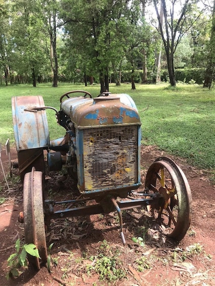 An old, rusted tractor with a blue and brown body, parked on a dirt path in a grassy field with trees in the background. 1