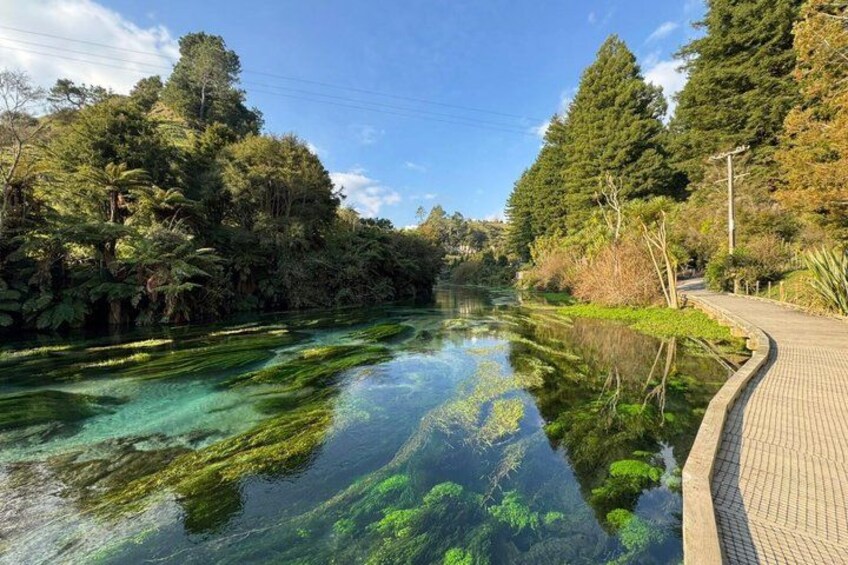A clear river with green algae, surrounded by dense trees and a paved walkway. 5