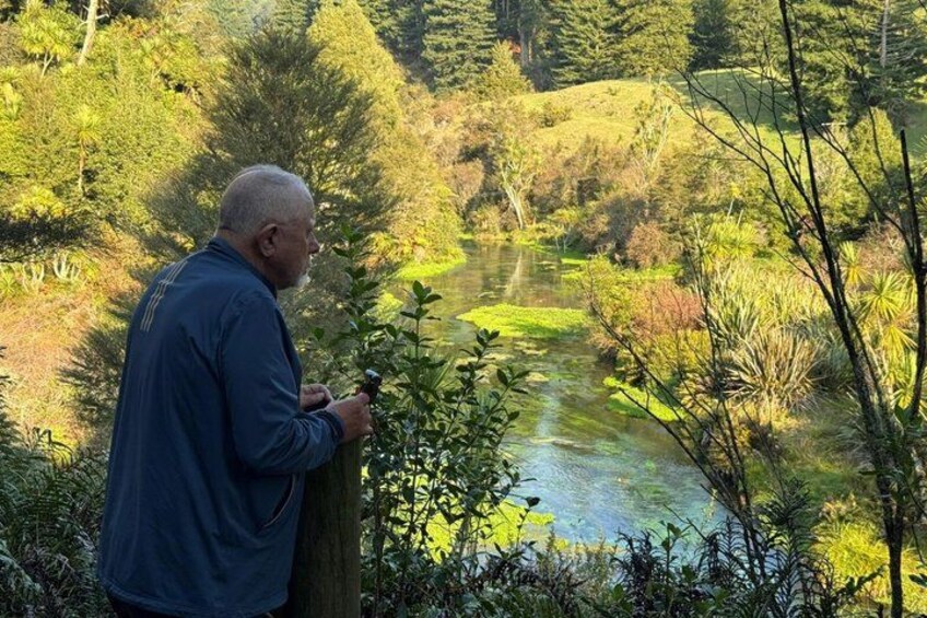 A man standing by a pond surrounded by greenery. 4