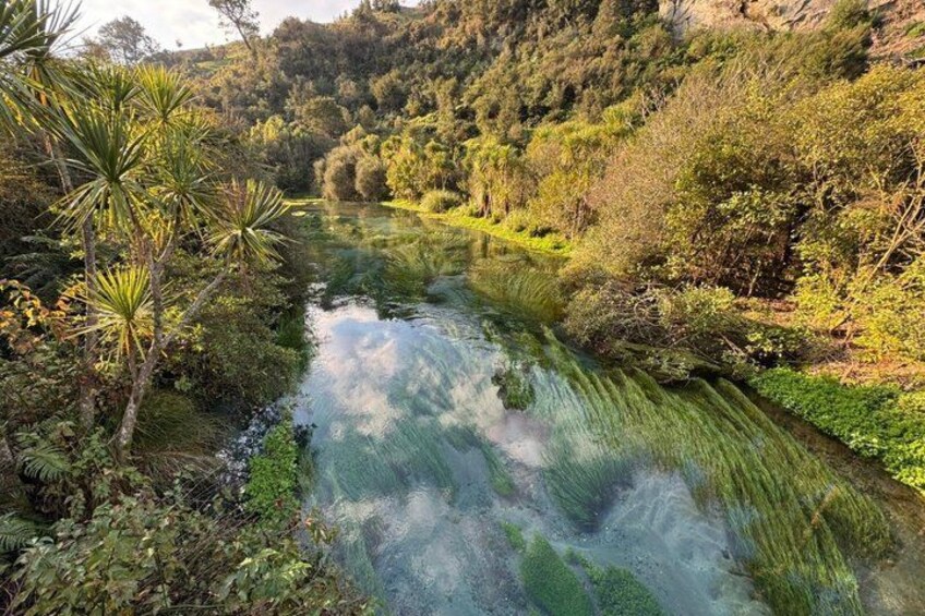 A river flowing through a forested area with dense vegetation and hills in the background. 2