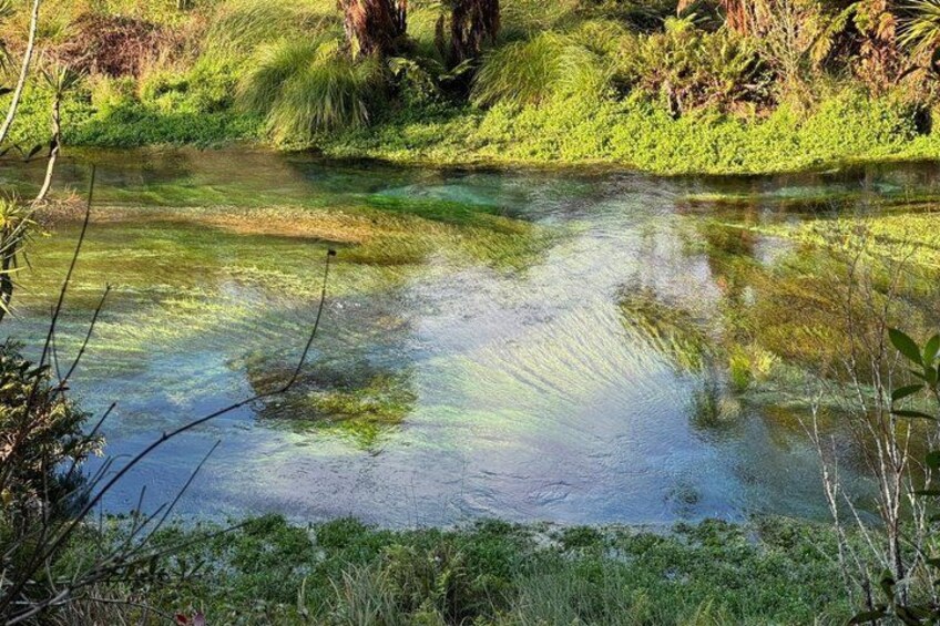 A clear water body surrounded by lush greenery and vegetation. 3