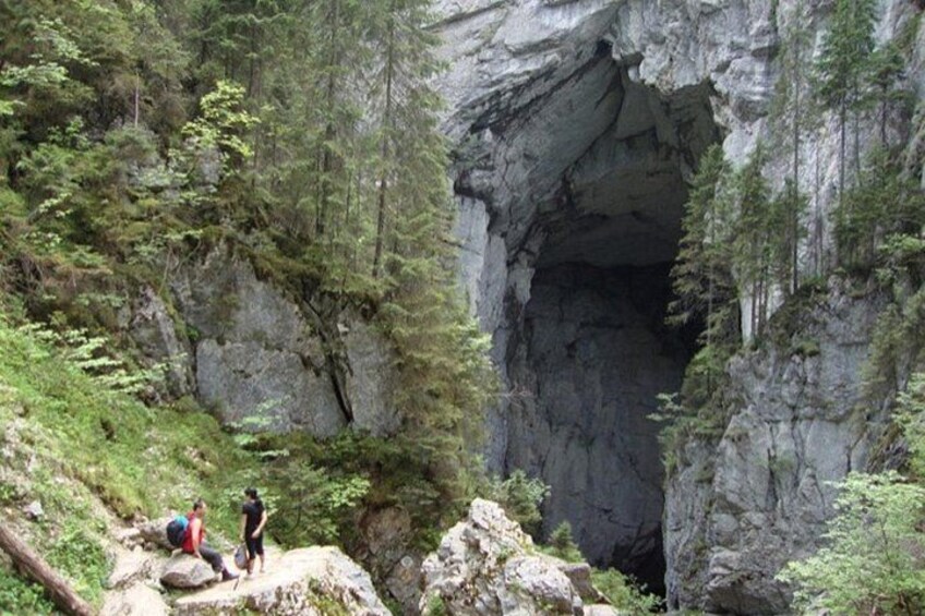 A rocky canyon with a narrow passage, surrounded by dense forest. 4