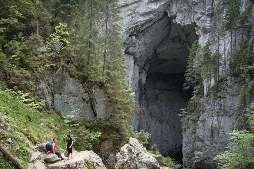 A rocky canyon with a narrow passage, surrounded by dense forest. 1