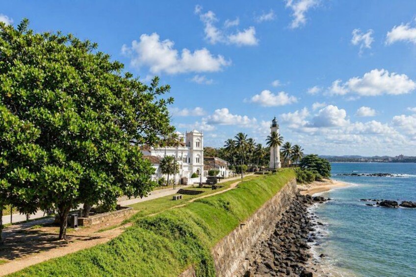 A coastal landscape with a lighthouse, a white building, and a grassy area with trees. 4