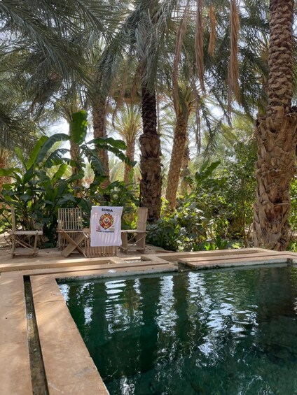 Une piscine entourée de palmiers et de chaises en bois, avec une banderole. 2