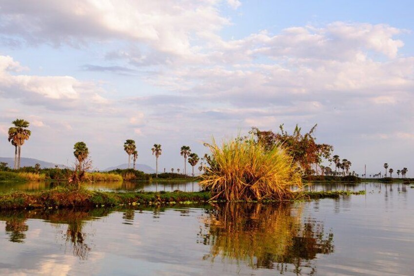 A calm lake with reflections of palm trees and grasses, surrounded by a cloudy sky. 1