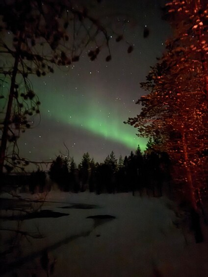 A night sky with the aurora borealis, a snowy landscape, and a dense forest. 3