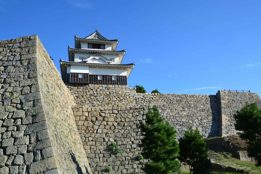 Un castillo japonés tradicional con una torre de varios niveles y muros de piedra. 1