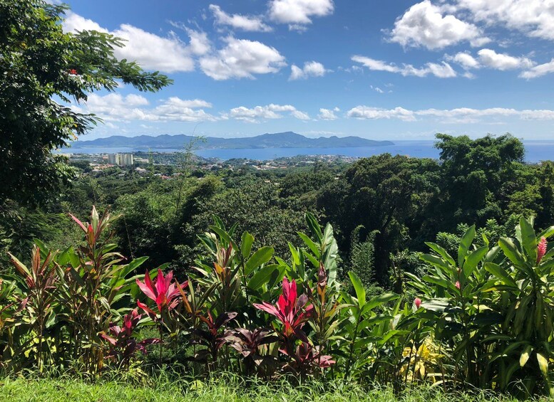 Un paysage verdoyant et luxuriant, un ciel d’un bleu limpide, une vue lointaine sur une ville et une étendue d’eau. 5