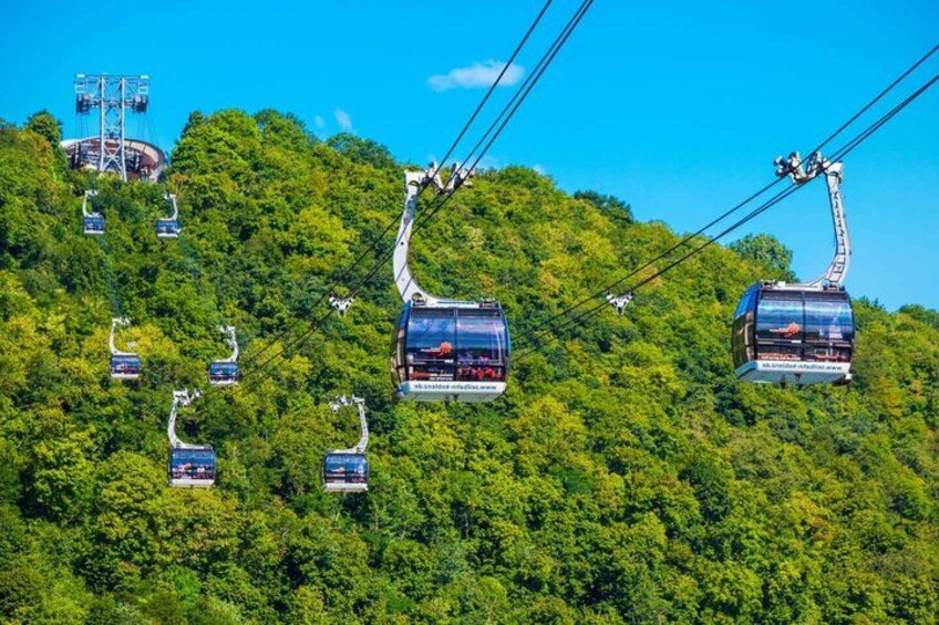 A cable car system on a lush green mountain. 5