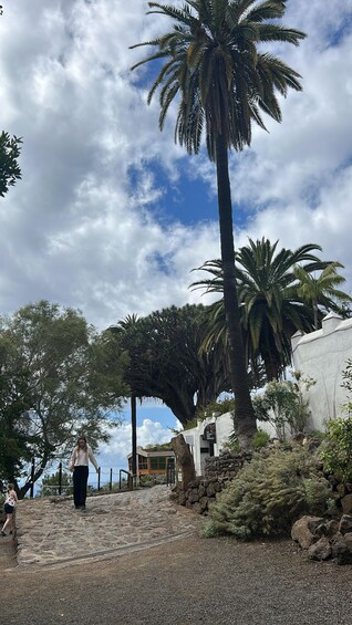 A pathway leading to a building with a palm tree in the foreground. 2