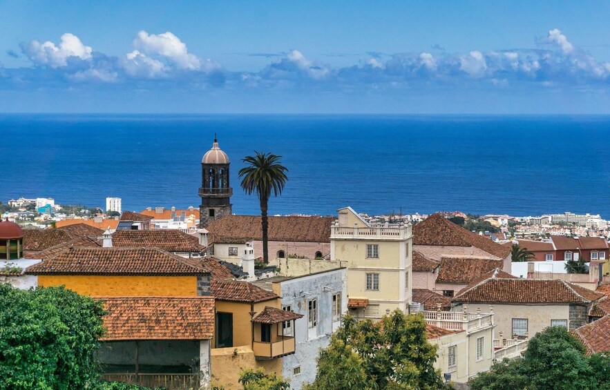 A coastal town with terracotta-roofed buildings, a prominent church tower, and a palm tree. 4