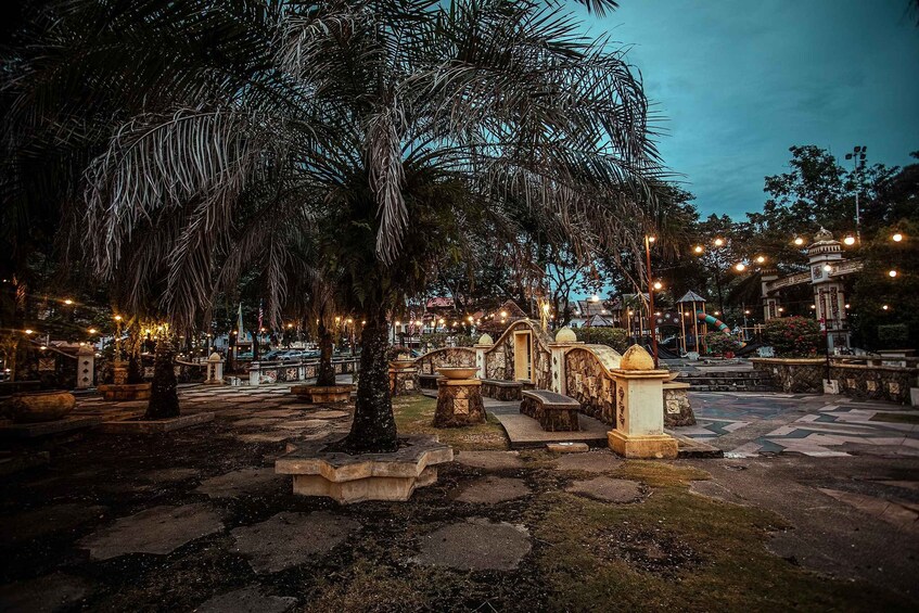 Un jardín bien iluminado con senderos de piedra, palmeras e iluminación decorativa. 3