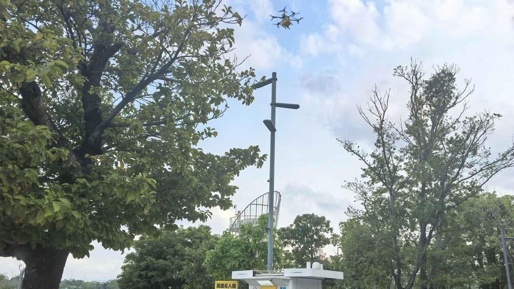 Una farola, un árbol y un dron volando en el cielo. 5