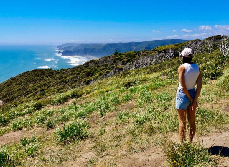 Una persona de pie en una colina cubierta de hierba, con vistas a una costa con acantilados y el océano. 4