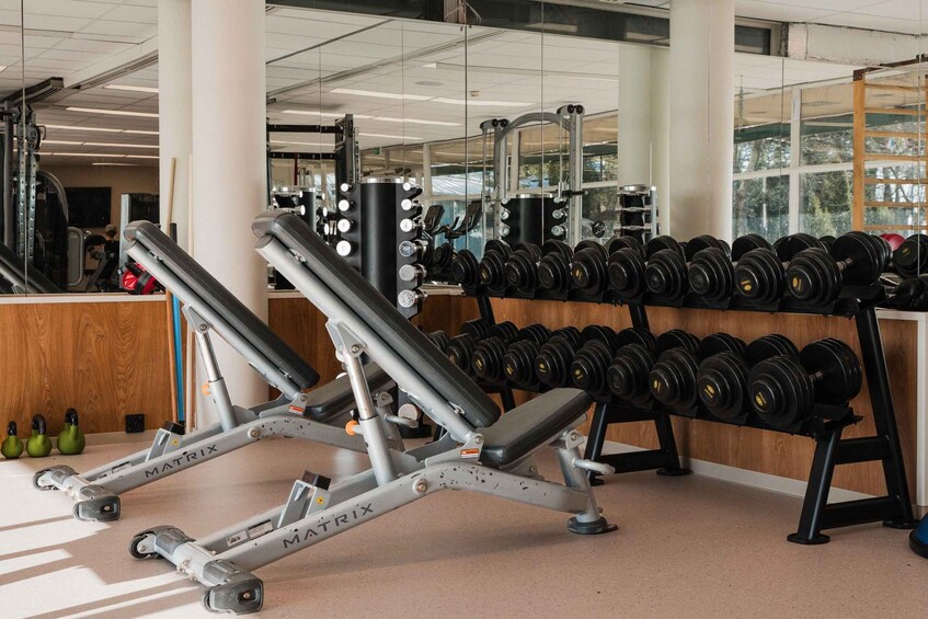 A gym with weightlifting equipment, including a bench and a rack of dumbbells. 4