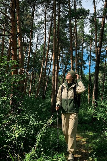 A person hiking in a dense forest with tall trees and underbrush. 2