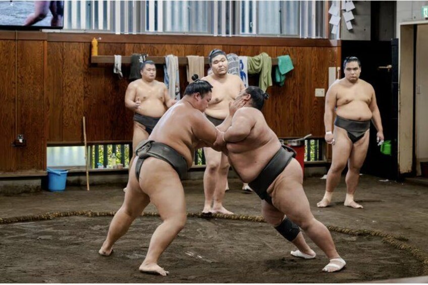 Two sumo wrestlers in a ring, with others standing in the background. 1
