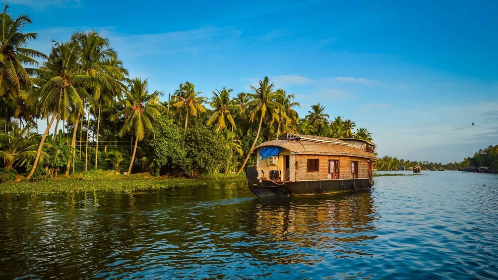 A houseboat on a calm river surrounded by palm trees. 1