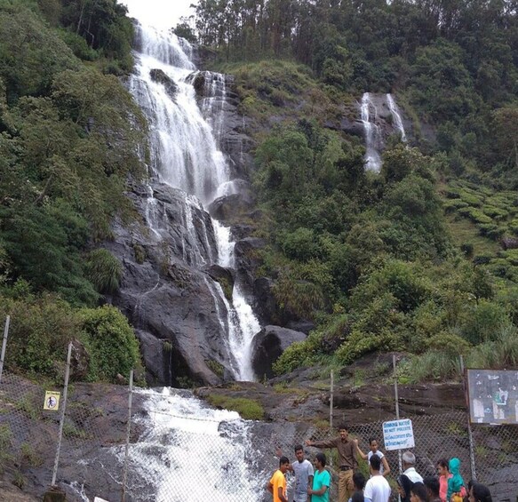 A waterfall surrounded by lush greenery and a group of people observing it. 2