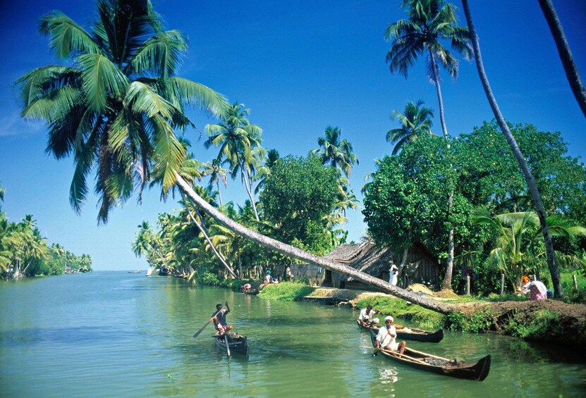 A river scene with people in traditional boats, palm trees, and a thatched-roof hut. 4