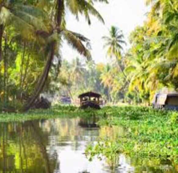 A water body surrounded by lush greenery and a small wooden structure. 5