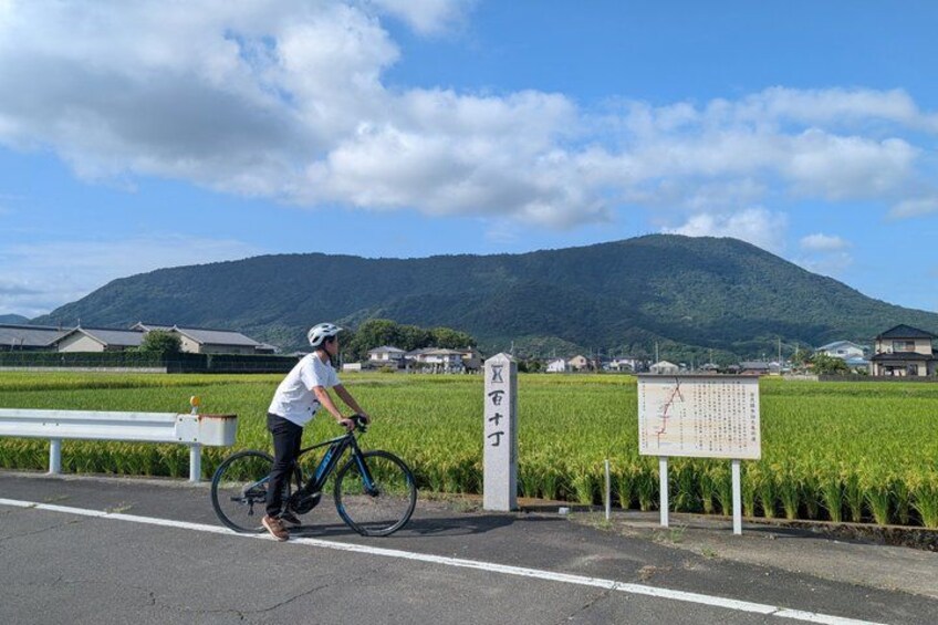 A cyclist on a road with a mountain in the background, a sign with Japanese characters, and a field of crops. 1