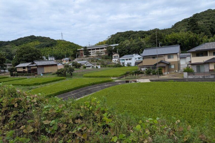 A rural landscape with houses, a river, and a hill in the background. 2