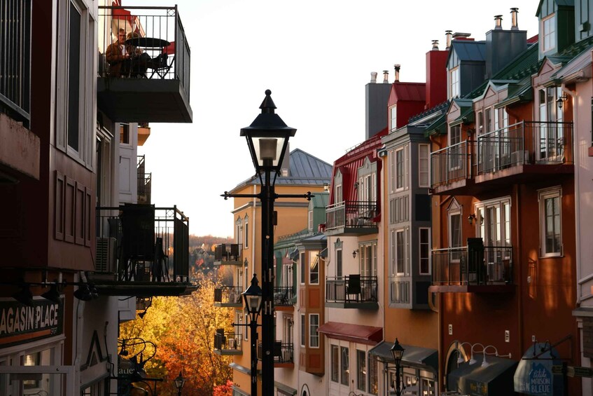 Eine enge Straße gesäumt von bunten Gebäuden, einer Straßenlaterne und Herbstbäumen. 3