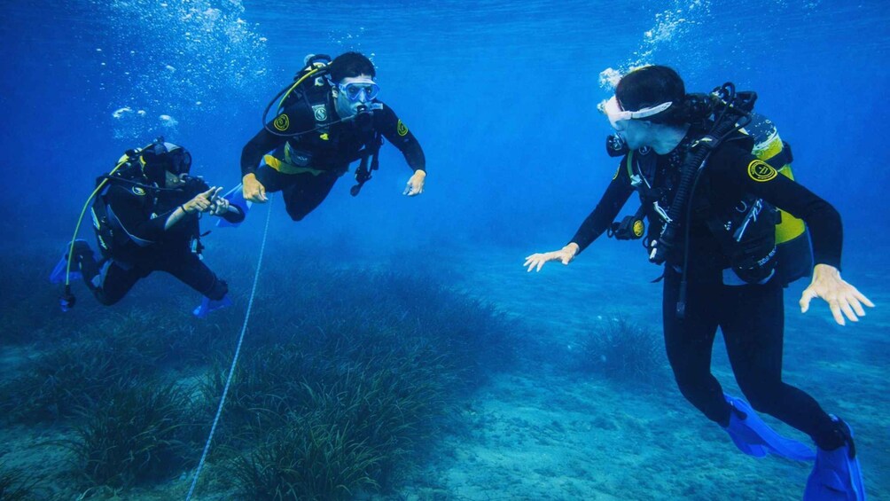 Three scuba divers underwater with fins and scuba gear, surrounded by marine plants. 2
