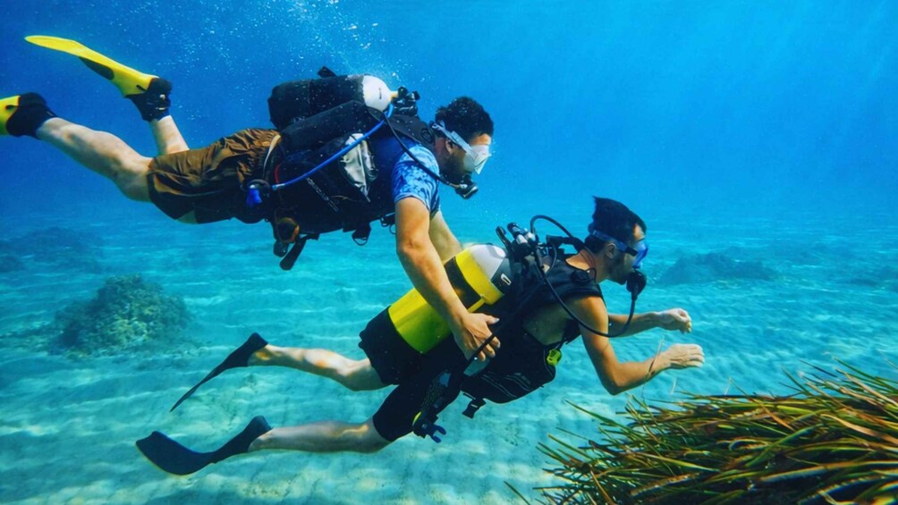 Two scuba divers swimming underwater with fins and scuba gear. 1