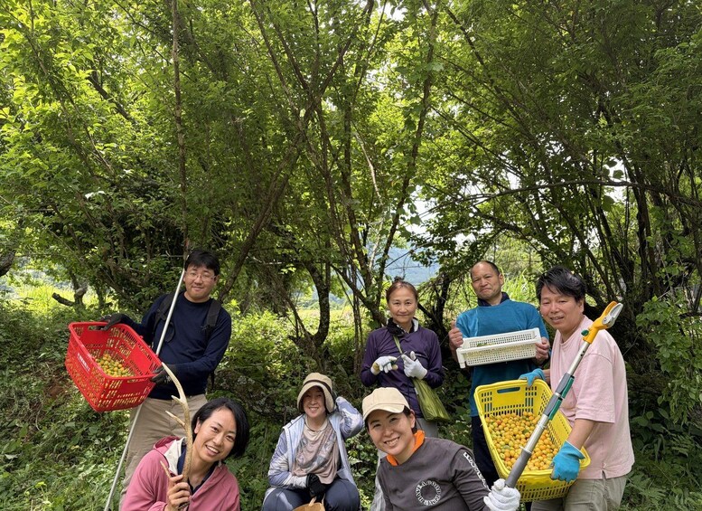 A group of people in a forested area, some holding baskets filled with fruit. 3