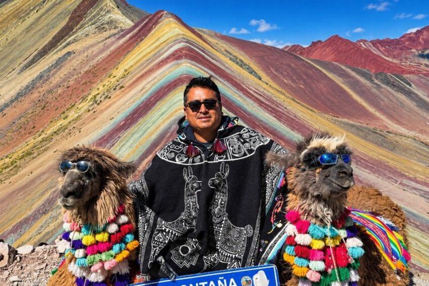 A person with two llamas in a colorful mountainous landscape. 4
