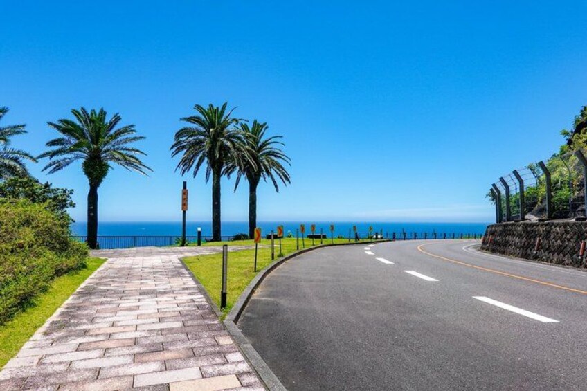 A coastal road with palm trees, a sidewalk, and a clear blue sky. 3